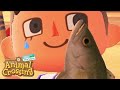 Wasting a Nook Mile Ticket on Sea Bass [Animal Crossing New Horizons]