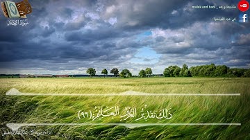 ايات من سورة الانعام بصوت القارئ عبد الهادي هنو/Abdulhadi henno