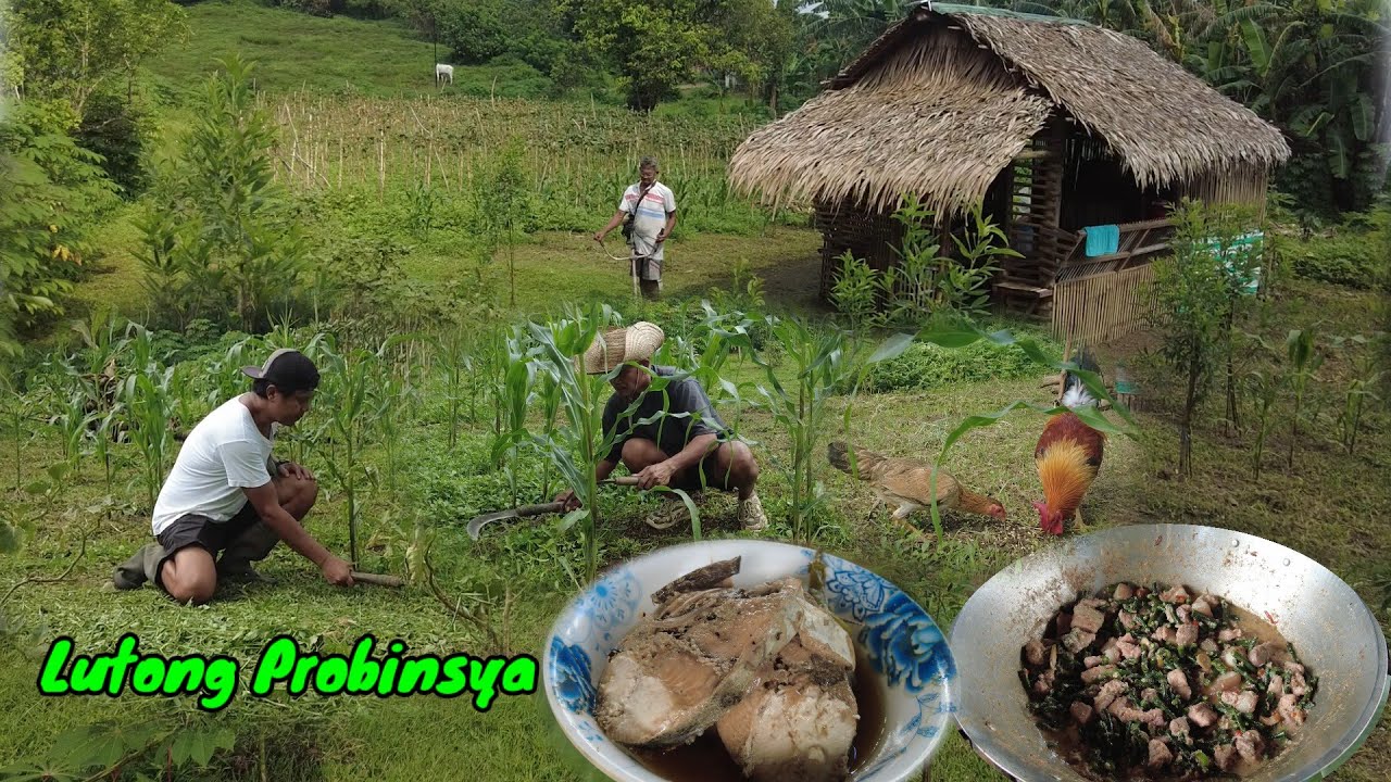 Bicol Express with Sitaw | Lutong Bukid 