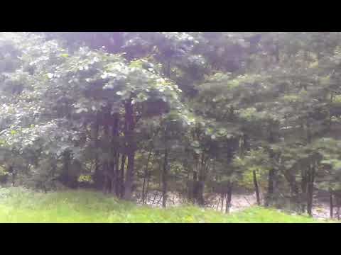 ფშავის არაგვი