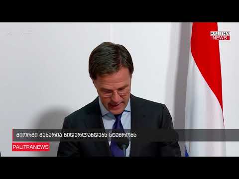 გიორგი გახარია ნიდერლანდებს სტუმრობს