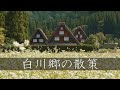 【日本三大秘境】白川郷の散策 : Walking Around Shirakawa-go（Gifu, Japan）