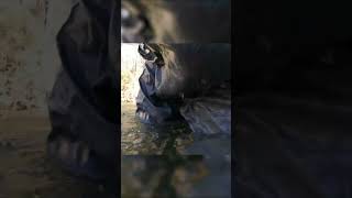 I Almost DROWNED! #shorts