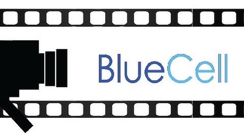 BlueCell: ASCII Import Demo