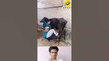 the and 😂😅pt-216#funny #fails #funny #shorts