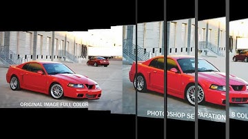 Simulated Process Separations - 8 Color Photorealism