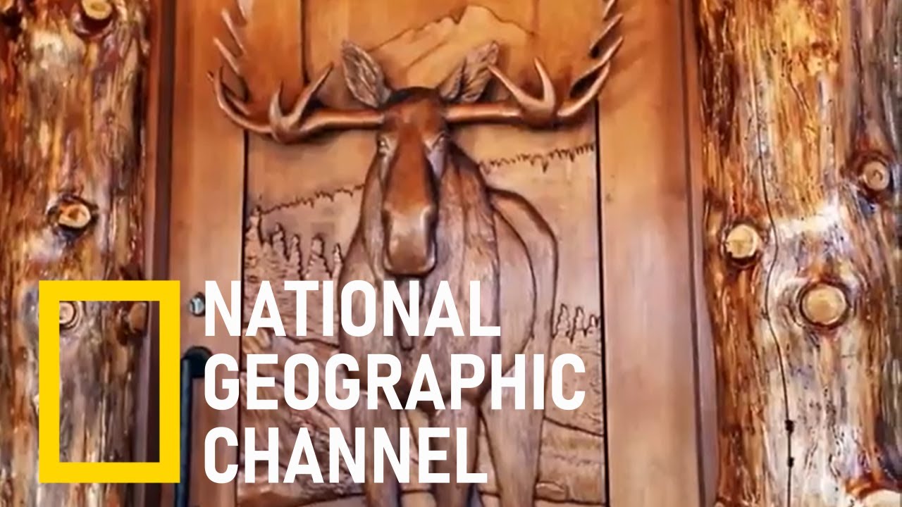 Timber Moose Timber Moose on National Geographic's