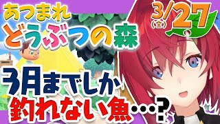 【あつまれ どうぶつの森】イトウとチョウザメ、3月までってマジ…？【にじさんじ/アンジュ・カトリーナ】
