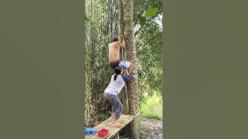 gehuboan katkat marang