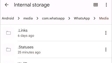 how to see whatsapp status in file manager realme | oppo