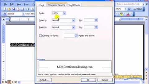 Word 2003 Character Effects