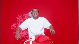 Hulengende - PaZimbabwe PaSvikwa - Official Visualiser 