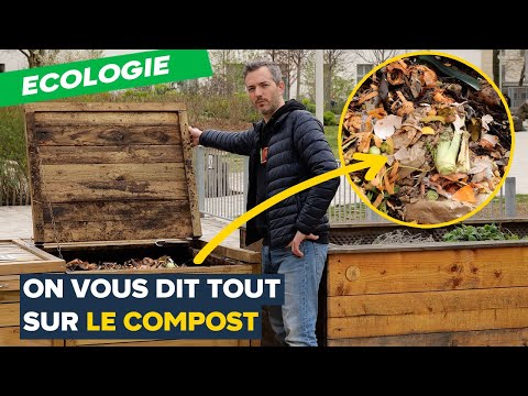 Vidéo: Les noctambules européens sont-ils bons pour le compost ?