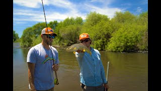 Fly Fishing the Henry's Fork | Guide Day