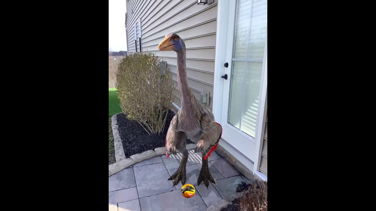 #dinotracker