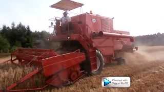 Żniwa 2014 ,2X Bizon Zo56, 3X Ursus 1614 & Zetor 16145