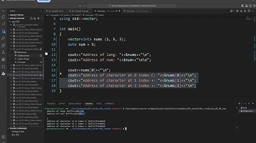 101424 COSC 1337 C++ vector addressing show with code
