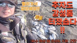 추자도 상도 감성돔 낚시!!(2탄)