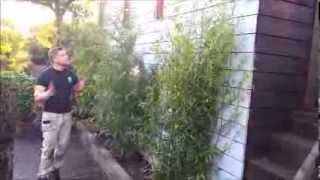 LANDSCAPING AND DECKING MACCLESFIELD PART2