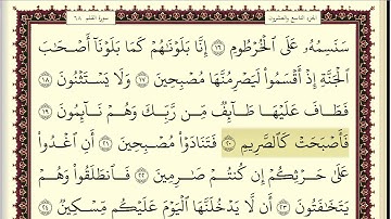 اسلام صبحي سورة القلم مكتوبة بخط واضح وجميل جودة عالية