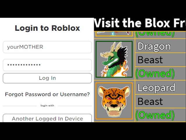 A hacker in a game blox fruits name - OpenDream