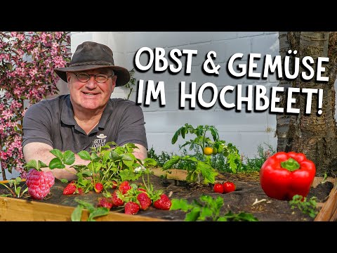Hochbeet anlegen: So