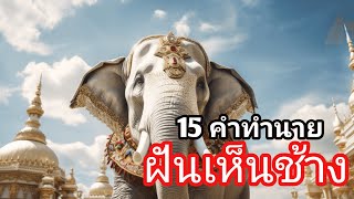 ฝันเห็นช้าง ฝันว่าได้ขี่ช้าง ช้างหลายตัว| พร้อมเลขเด็ด