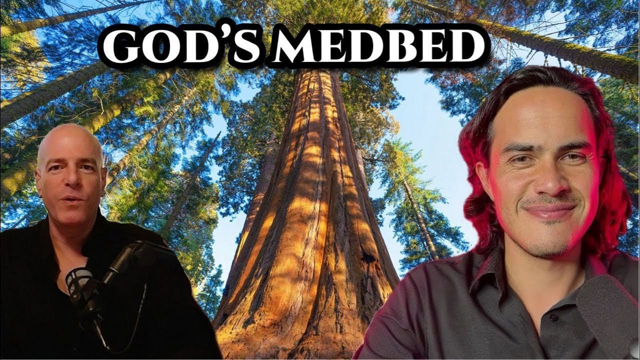 God’s MedBed the Healing Tech They Tried to Hide