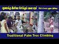 பழமைக்கு இனிமை தரும் பனைமரம் | Traditional palm tree Climbing