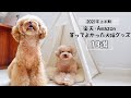 【2021年上半期】楽天・アマゾンで買ってよかった激推し犬猫アイテム13選！