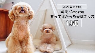 【2021年上半期】楽天・アマゾンで買ってよかった激推し犬猫アイテム13選！