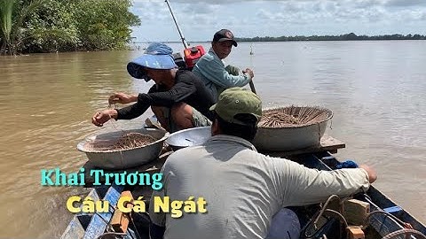 Khai trương đường câu cá ngát về nấu lẩu ngót anh em đã cơn thèm | Cù Lao Dung Vlogs #643