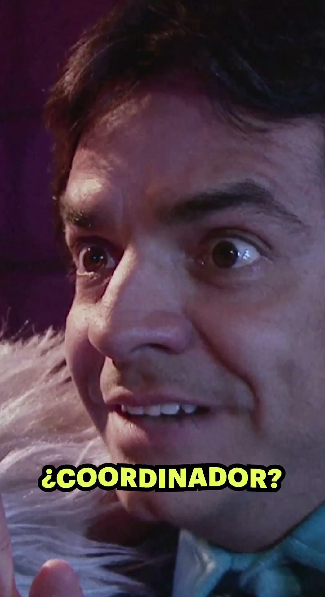 Le dan un nuevo trabajo a #Ludovico ?  #originales #LaFamiliaPLuche #Comedia #Humor