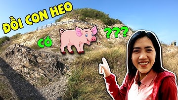 Khám Phá Đường Lên Đồi Con Heo Địa Điểm Chụp Hình Lý Tưởng Tại Bãi Sau Biển Vũng Tàu