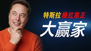 【Tesla每日新闻】😱Boring公司驾驶FSD测试环线⚡特斯拉迎来史上最强关税利好？！