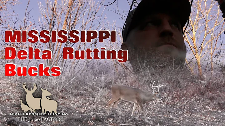 Mississippi Delta Rutting Bucks