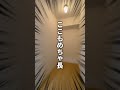 【これはやばい】○○○が過去最多!?絶対に被らないクセツヨ部屋(大阪府高槻市 不動産)ルームツアー#shorts