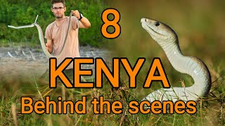 Behind the scenes KENYA 8, big Black mamba rescue, deadly venomous and most feared snake of Africa