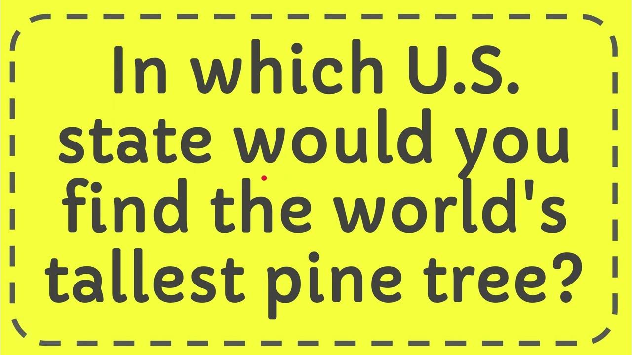 In which U.S. state would you find the world's tallest pine tree