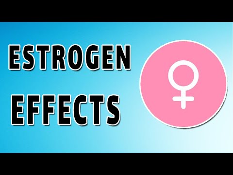 Estrogen Hormone - Release, Function, and Deficiency