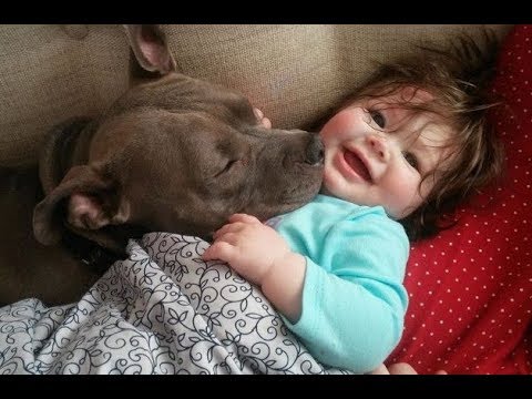 Cute Babies Cuddling