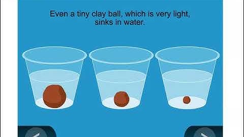 Fifth Grade Lesson 2.4 Density and Sinking & Floating