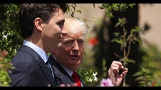 An economist explains what could happen if Trump pulls the US out of NAFTA