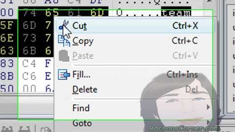 Run Multiple Teamspeaks