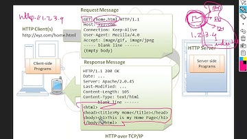 Loop Avoidance Nanda Day9 Web Server Part01