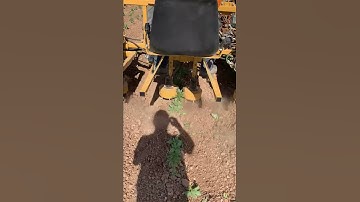 Organic Weeding Machine in Hemp!