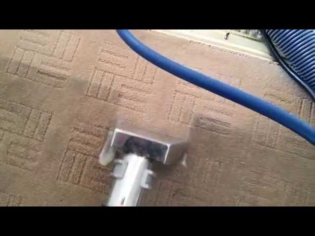 Carpet cleaners Sunderland|Carpet cleaning Sunderland by Cannon Surface Care