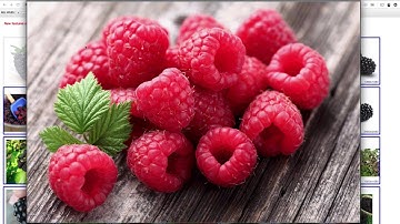 Fruit Classification Machine Learning iOS: Building Machine Learning Model