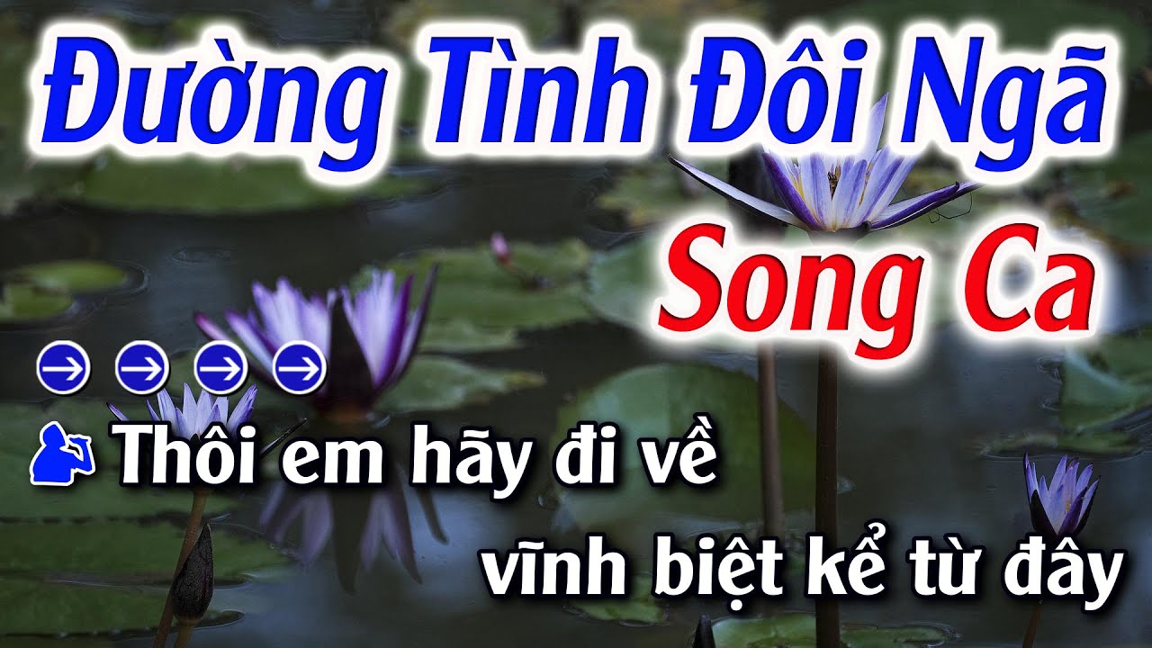 Đường Tình Đôi Ngã Karaoke Song Ca ( Em ) Đăng Khôi Karaoke - Beat Hay Dễ Hát