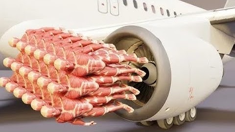 crowd Vs airplane engine animation